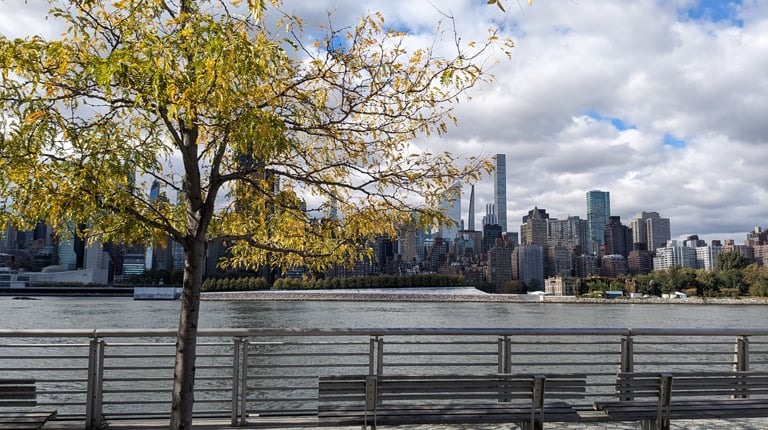 View of the East River waterfront and city skyline from Hunters Point North.