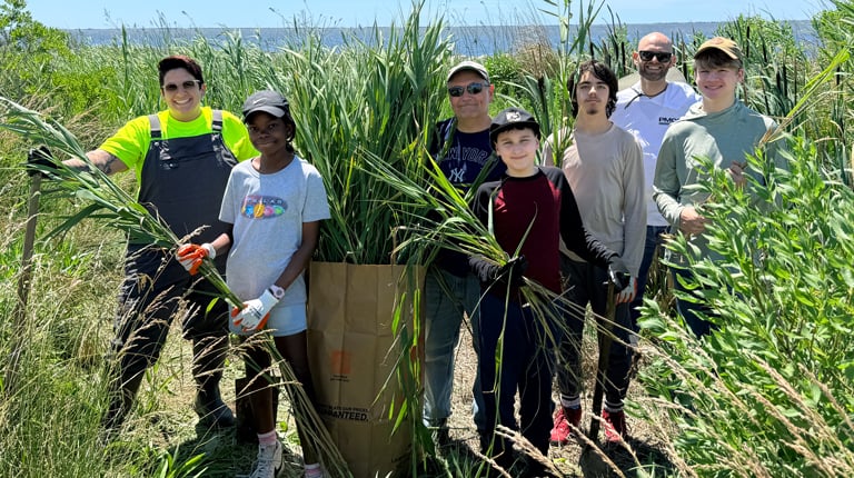 Six people standing in tall grass and plants under a clear blue sky, engaged in environmental work. 