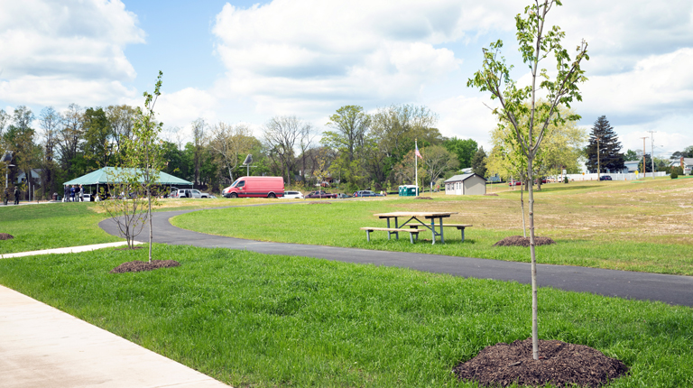 Park landscape with new tree plantings.