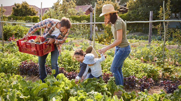 Family Harvesting Produce Together