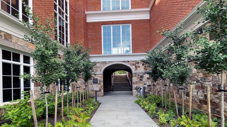 A sidewalk lined with ferns and ginkgo trees leads to an entrance at The Forum Hotel.