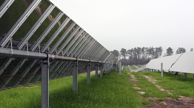 A row of solar panels in a rural field with trees in the background.