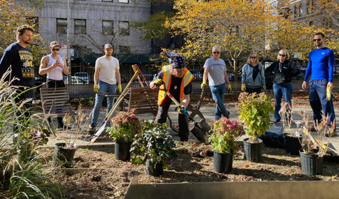 Park Landscaping event with a focus on native species and pollinator habitats.