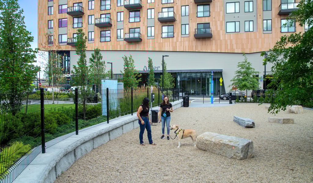 Two individuals and a dog at a dog park in front of The Alder apartment building.