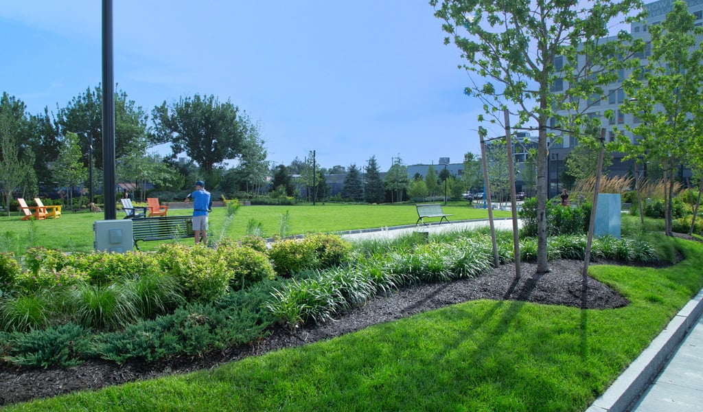 View of a lush, landscaped park with benches and a walking path, a person in the distance, and modern buildings surrounding the green area.