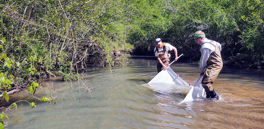 Chris Crow and Jeff Pittman are pulling seines in an Alabama stream on a sunny day.