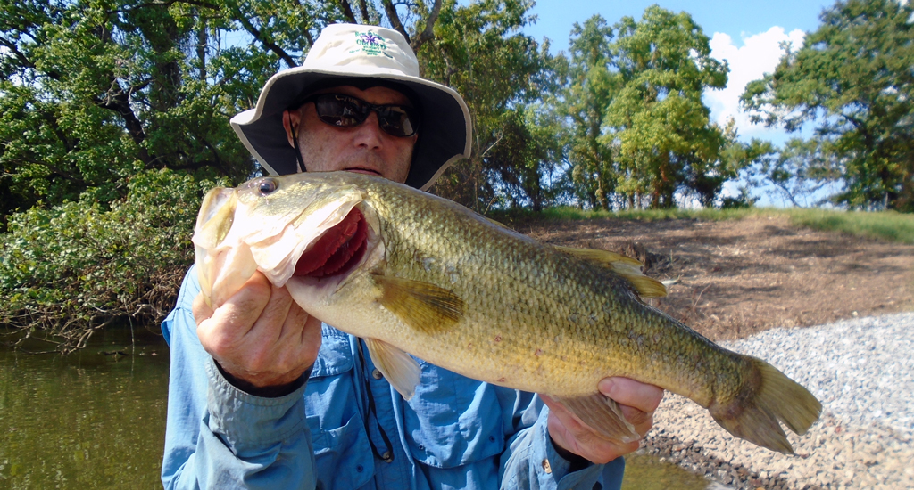 Chris Crow is holding a Largemouth Bass standing in a small lake in Alabama.