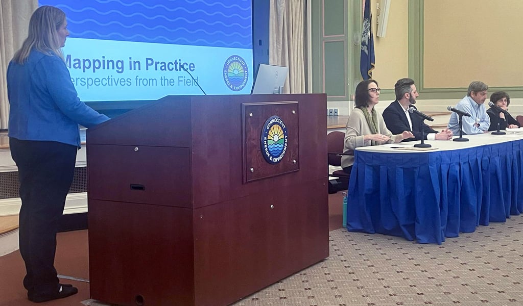 A person stands at a podium presenting to a seated panel of five individuals. The presentation slide reads "Mapping in Practice: Perspectives from the Field."  