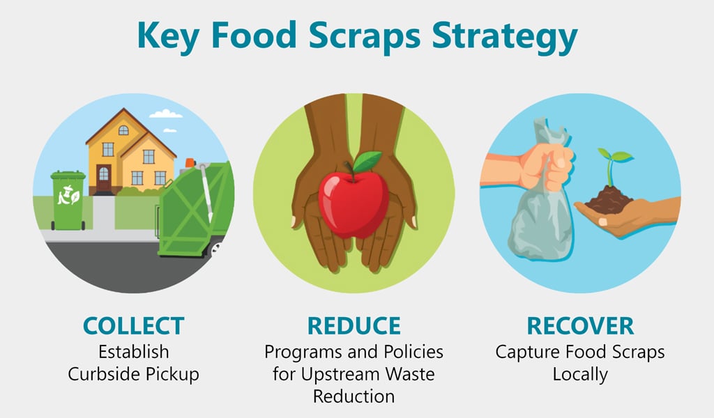 Graphic outlining food scraps strategy: Collect, Reduce and Recover.