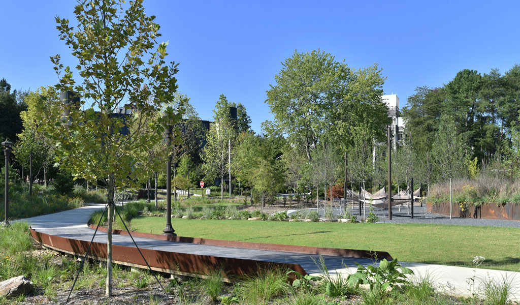 Open green space with walking path and trees outlining the perimeter. 
