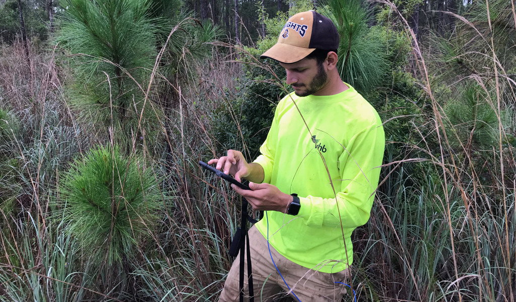 Mobile technology helps wetland scientists collect and retrieve data in real-time to measure ecosystem health. In this photo, new pine tree growth in a historic marsh habitat may indicate unhealthy dry conditions.