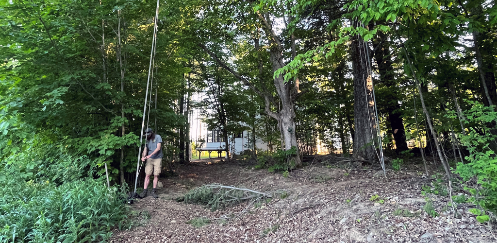 Mist-net being set-up.