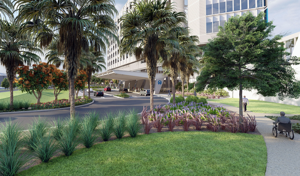 A color rendering of a modern hospital entrance lined by palm trees and tropical plantings