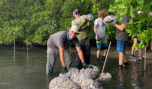 People wearing gloves and hats lay down bags of oysters shells in a coastal inlet