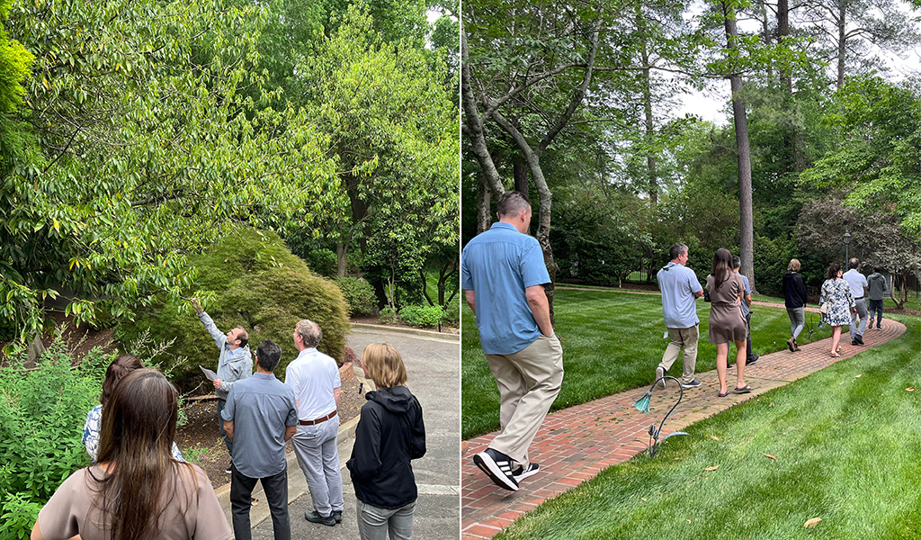 (Left) Phillip reaching up and identifying a tree. (Right) Attendees walking on brick path with a green lily lantern.