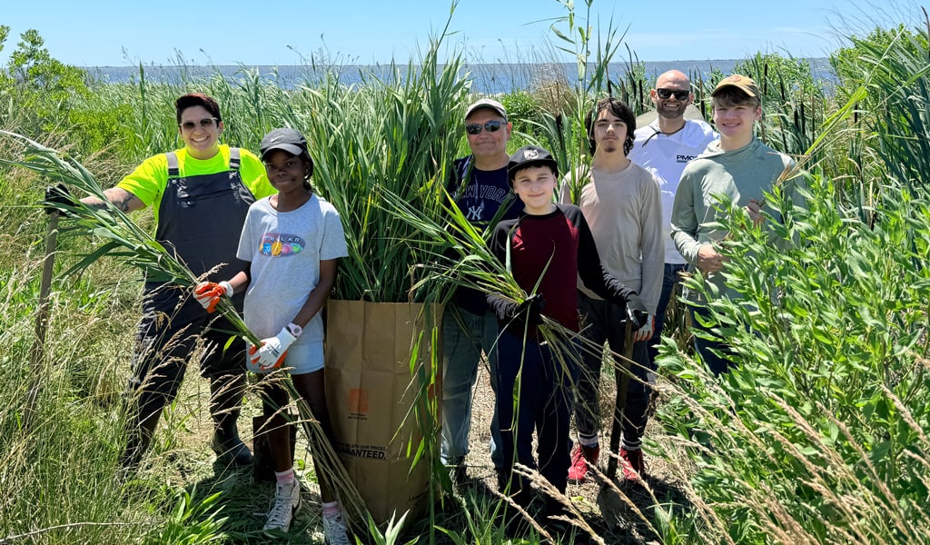 Six people standing in tall grass and plants under a clear blue sky, engaged in environmental work. 