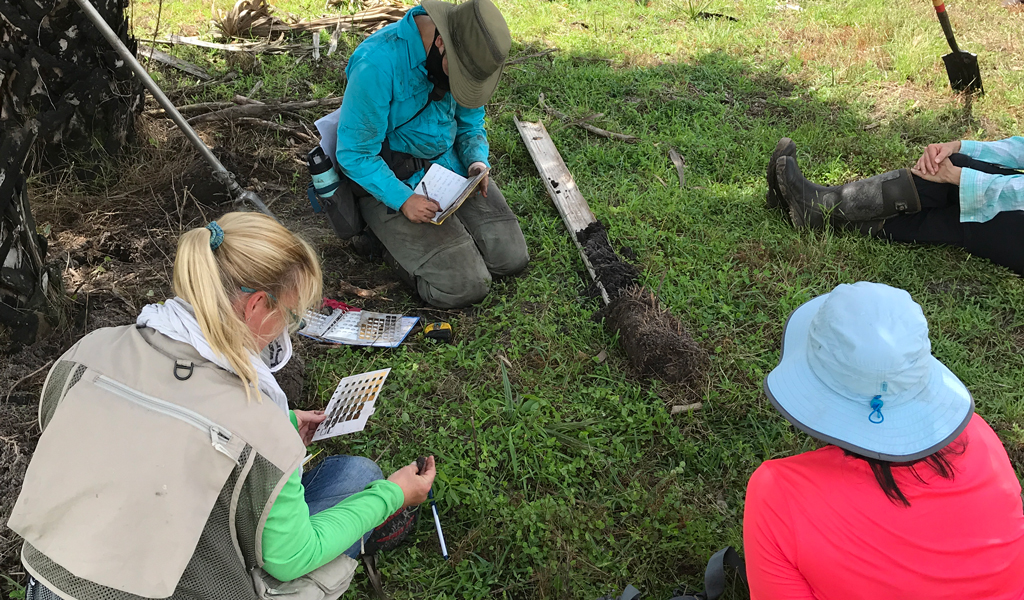 Shannon conducts a soil review on altered lands with St. Johns River Water Management staff along Christmas Creek in Orange County to determine historic wetland limits.