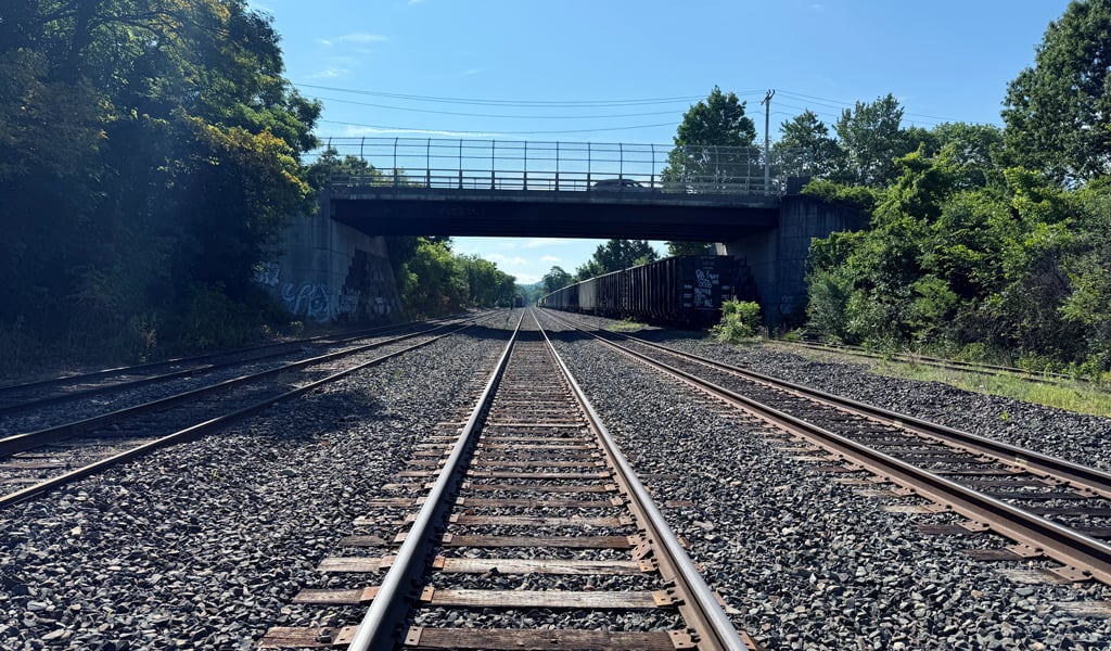 Railroad tracks extending into the distance under a concrete bridge. Trees and greenery line either side of the tracks. The sky is clear and blue