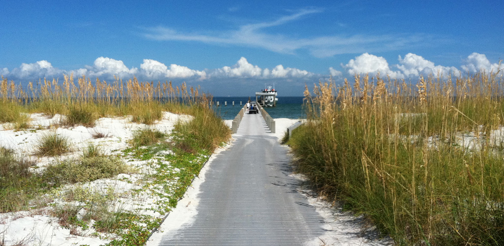 A gray walk board surrounded by sand and sea oats leading to the blue ocean.