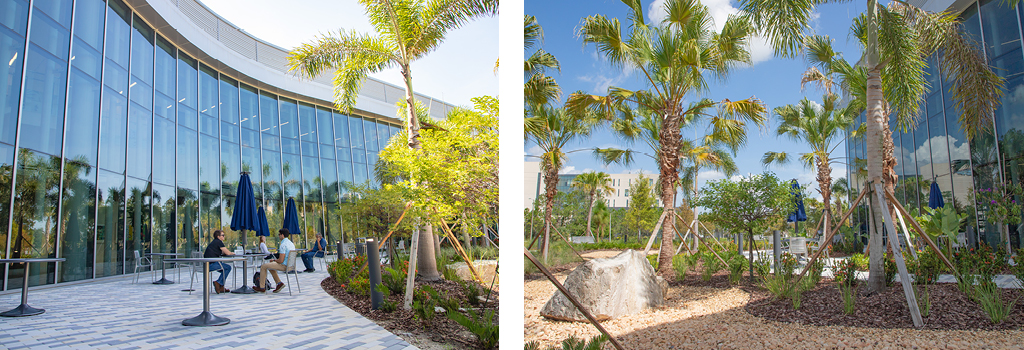 collage of a group of people sitting at a table on a patio outside a new hospital and Palm trees and plantings outside a new hospital