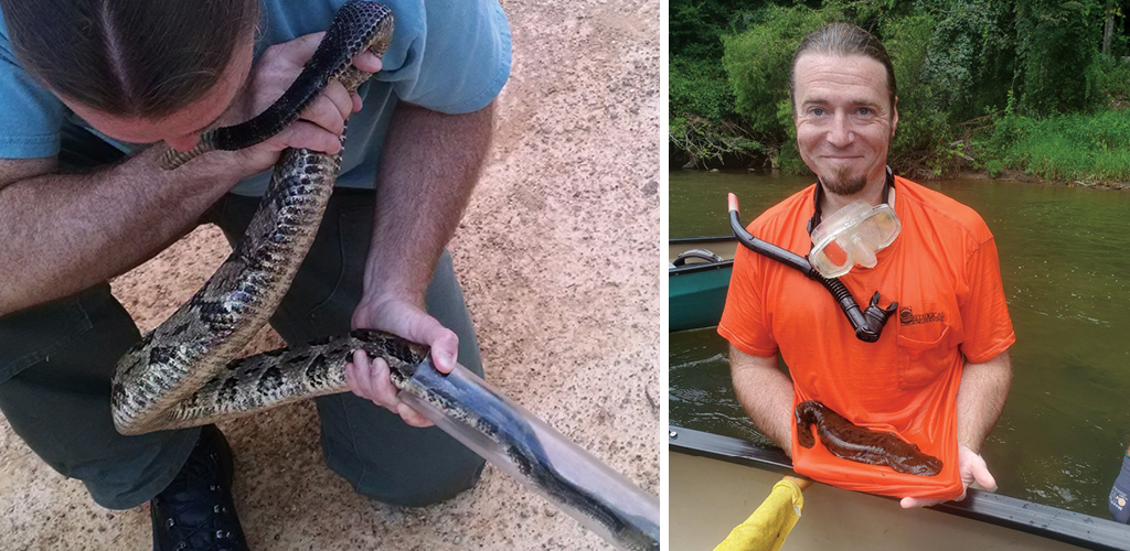 Collage of David Cooper safely holding and examining snakes