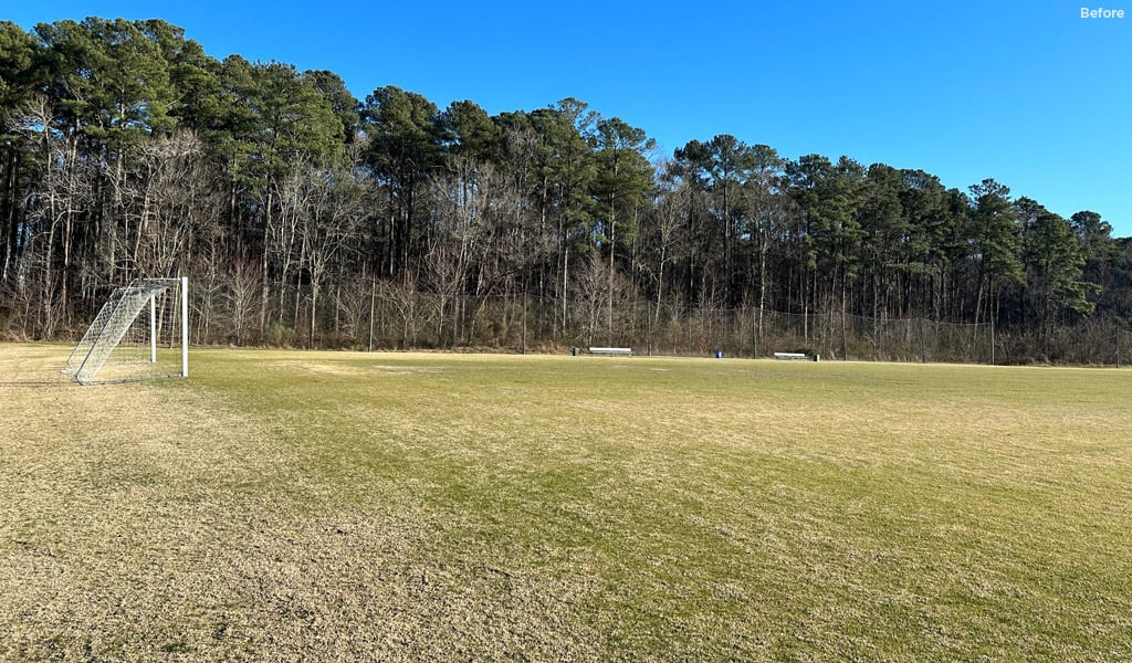 A before-and-after view reveals how new turf has transformed the field, elevating the soccer experience in Virginia Beach.