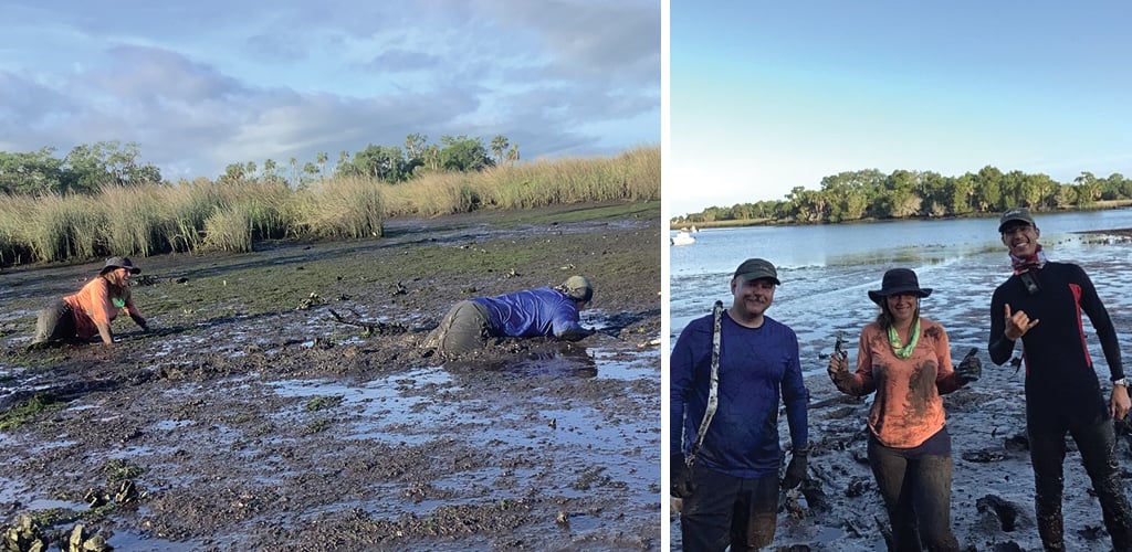 Three photos of VHB scientists surveying oyster beds during low tide to determine health, densities, and growth compared to previous years of monitoring.