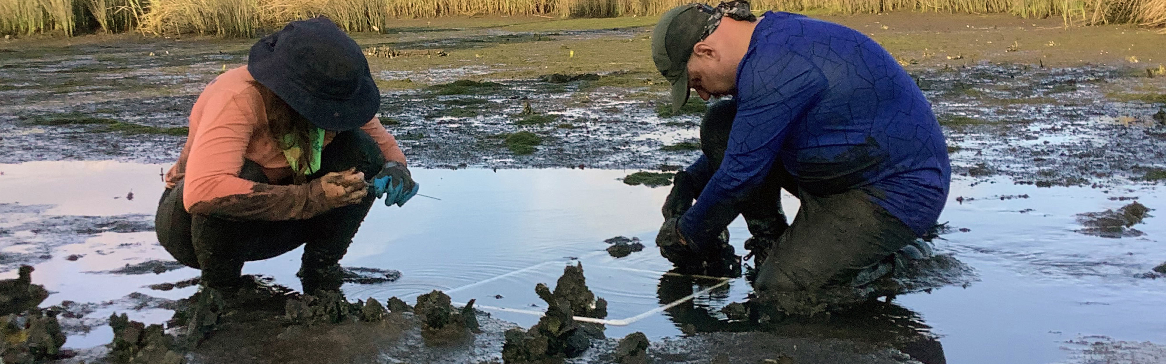Two VHB scientists survey oyster beds during low tide.