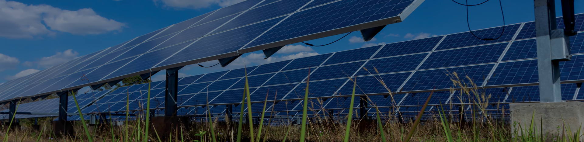 Solar panels in a field