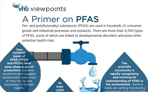 A Primer on PFAS