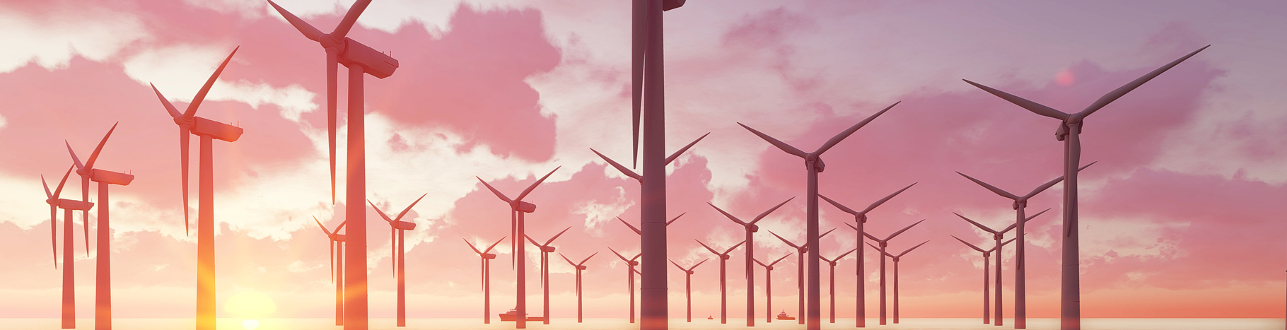 A sea of wind turbines at sunset