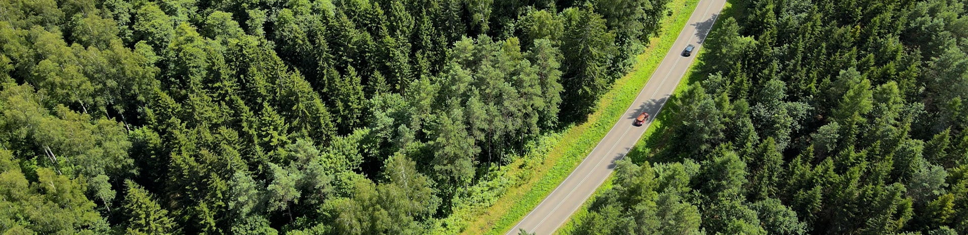 A two-lane road surrounded by trees on both sides.