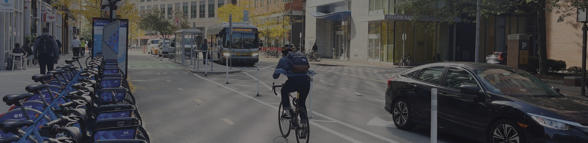 A city street with designated lanes for vehicles and bikes.