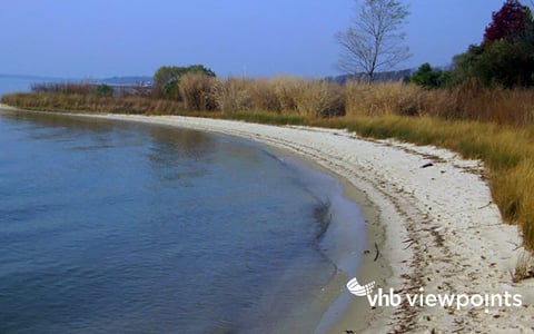 Water’s edge with sand and plant life integrated as a living shoreline