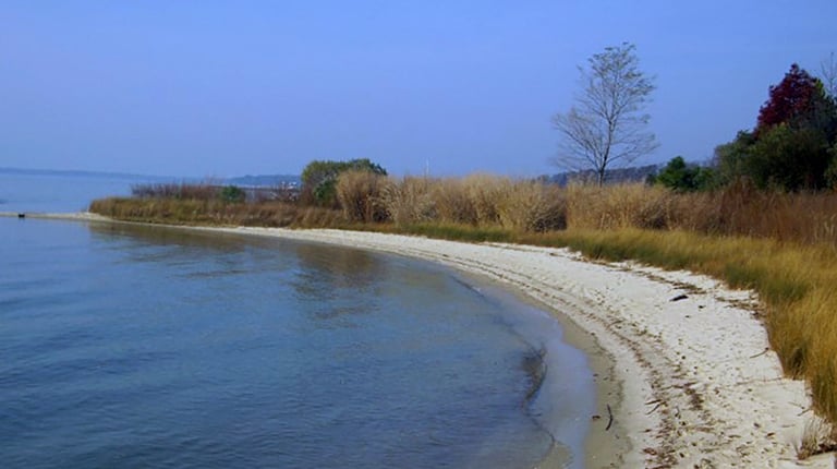 Water’s edge with sand and plant life integrated as a living shoreline.