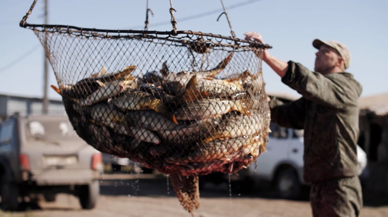 Virginia’s Working Waterfronts: Advising Clients on Future-focused Solutions for Access and Connectivity