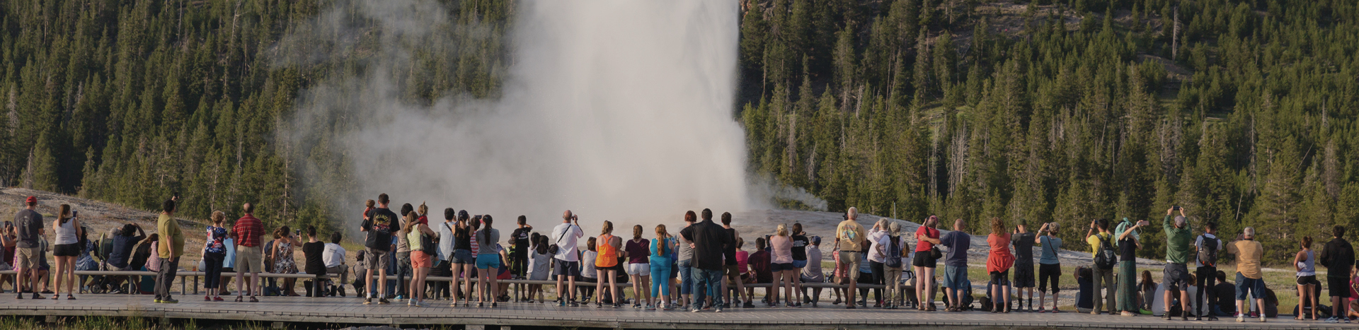 Crowds in front of old faithful in Yellowstone National Park. 