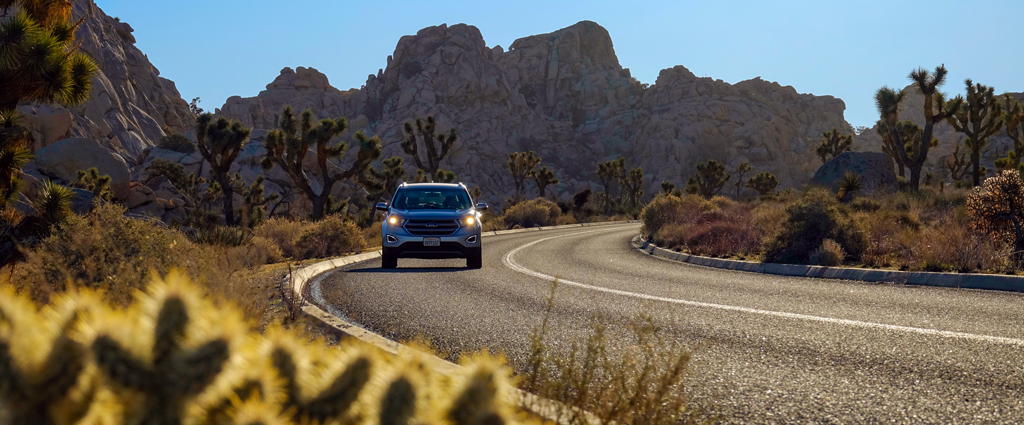 A car travels on a roadway in a remote section of Joshua Tree National Park.