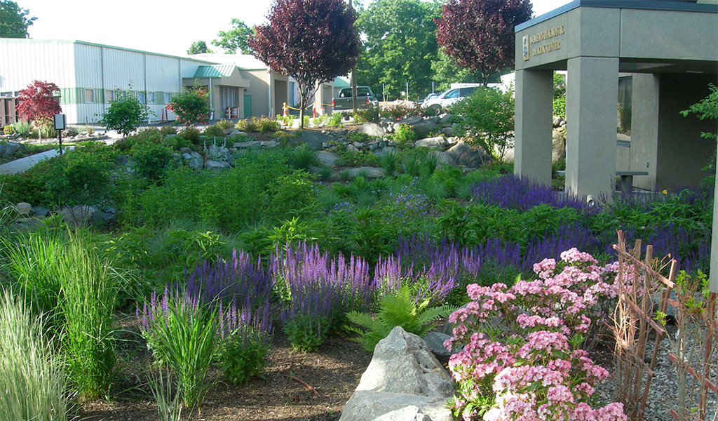 Area outside a building filled with greenery and flowers. 