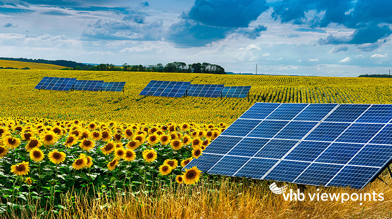 Panoramic view on sunflower field with solar panel
